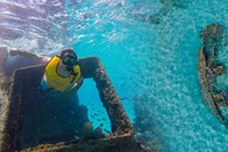 Da Cancun: Tour di snorkeling con le tartarughe