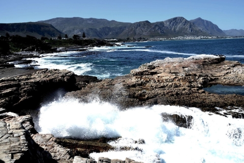 Ab Kapstadt: Ausflug ans Kap Agulhas