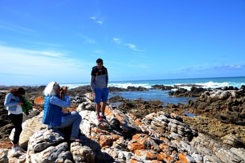 Cape Agulhas Tour z Kapsztadu