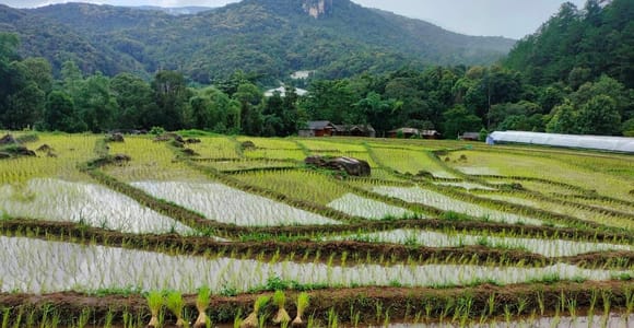 Chiang Mai: Mae Ya Waterfall & Pha Dok Siew Trail Trek