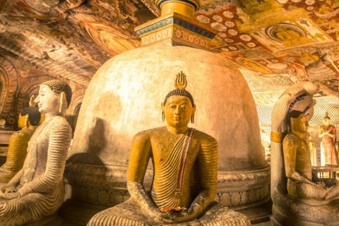Excursie naar het Sigiriya rotsfort - Dagtocht