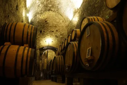 Montepulciano: Weinverkostung und Kellertour
