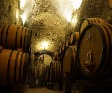 Montepulciano: Degustazione di vini e tour della cantina