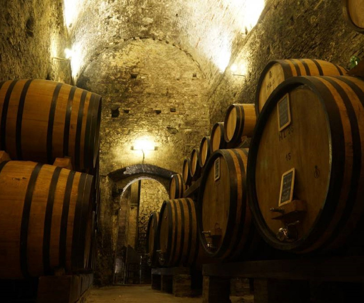 Montepulciano Wine Tasting and Cellar Tour