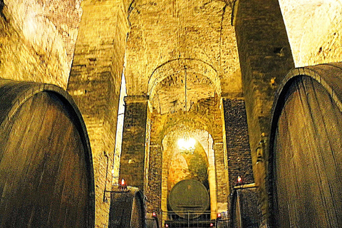 Montepulciano: Wine Tasting and Cellar Tour Italiano