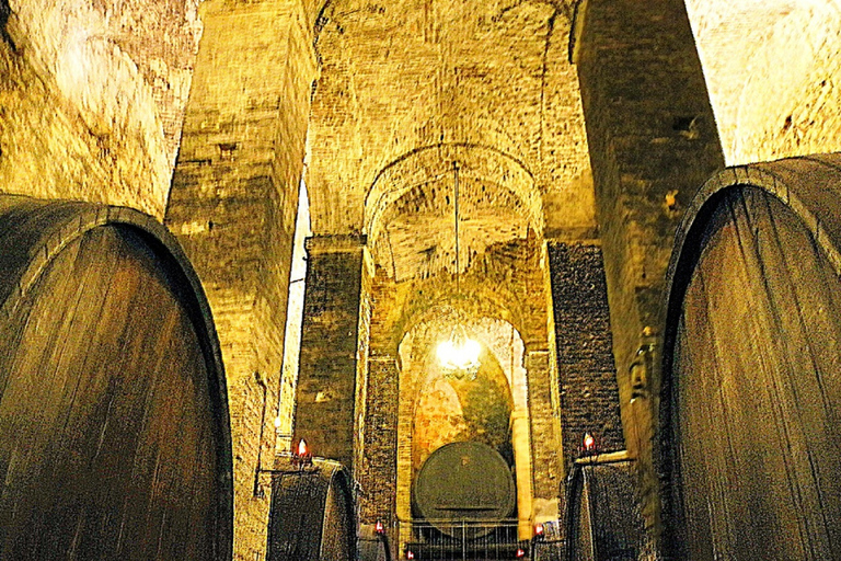 Montepulciano: Wine Tasting and Cellar Tour Italiano