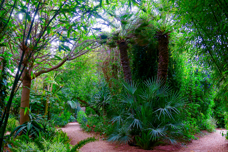 Marrakech: entrada y traslados al jardín ANIMA André Heller