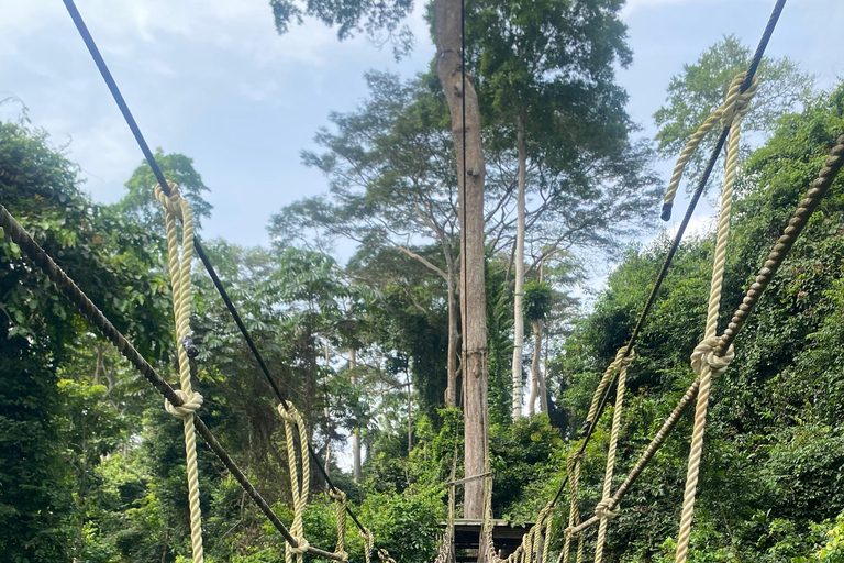 Kakum National Park & Elimina & Cape Coast Castle Day Tour