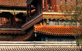 Beijing Lama Temple Ticket: Where Dreams Come True