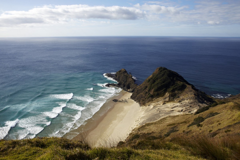 Bay of Islands: Cape Reinga Scenic Flight & Guided Tour