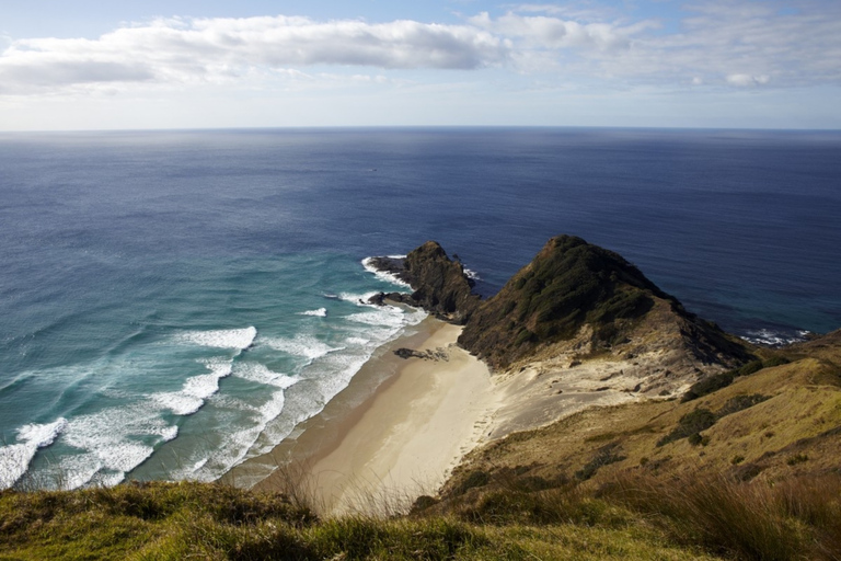 Bay of Islands: Cape Reinga Scenic Flight & Guided Tour