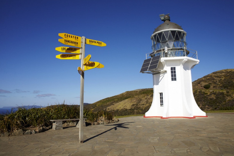 Bay of Islands: Cape Reinga Scenic Flight & Guided Tour