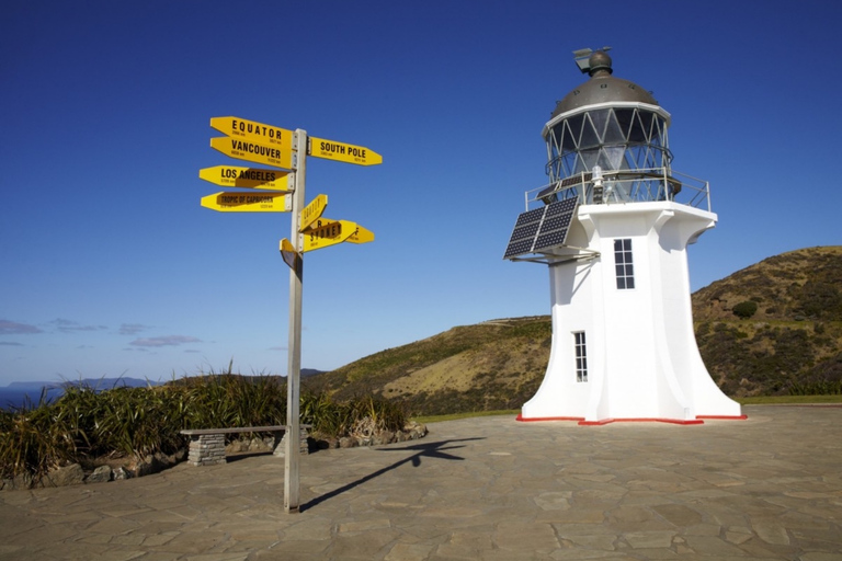 Bay of Islands: Cape Reinga Scenic Flight & Guided Tour