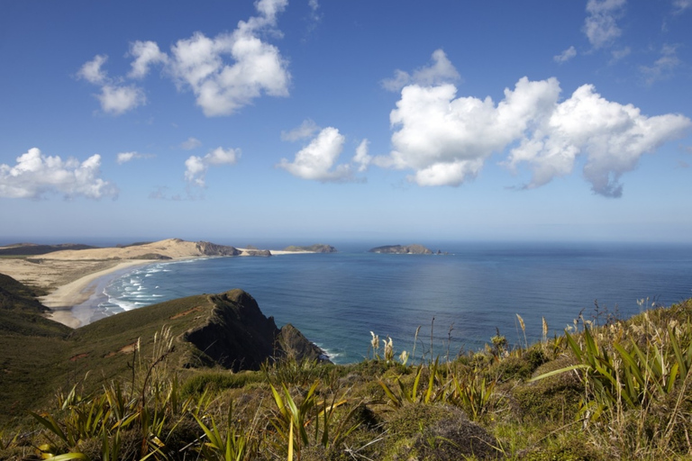 Bay of Islands: Cape Reinga Scenic Flight & Guided Tour