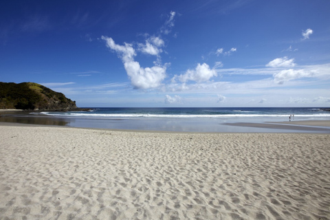 Bay of Islands: Cape Reinga Scenic Flight & Guided Tour