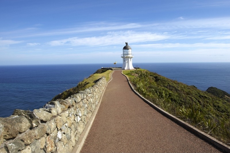 Bay of Islands: Cape Reinga Scenic Flight & Guided Tour