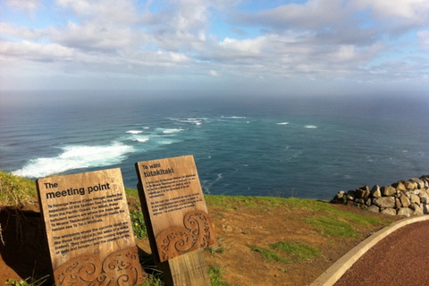 Bay of Islands: Cape Reinga Scenic Flight & Guided Tour