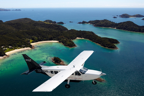 Bay of Islands: Cape Reinga Scenic Flight & Guided Tour