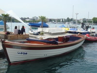 Lake Zurich, 1-Hour Private Guided Boat Tour - Housity