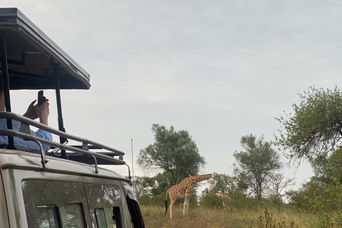 4 Days Queen Elizabeth Park Safari & Ruwenzori Mountain View