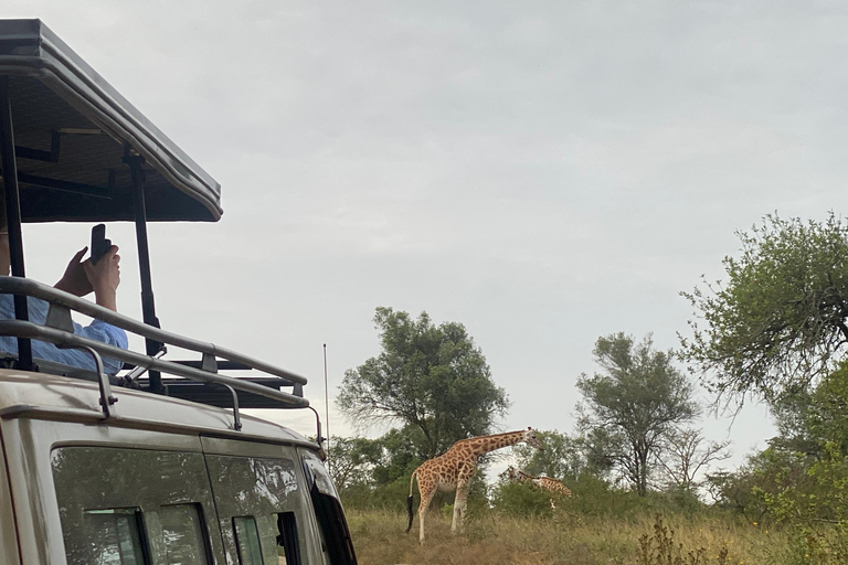 4 Days Queen Elizabeth Park Safari & Ruwenzori Mountain View