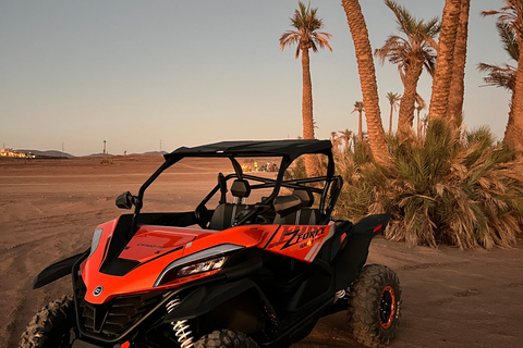 Marrakech : Palm Grove and jbilat Desert Buggy 1000cc Tour