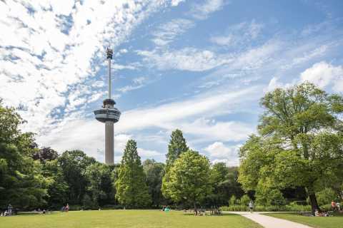 Rotterdam: Billett observasjontårnet Euromast