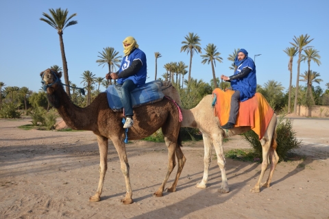 Marrakech : balade à chameau avec pause théBalade privée à chameau dans la palmeraie avec pause thé