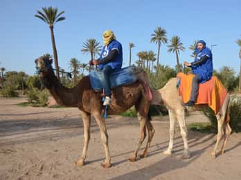 Marrakesch: Kamelritt durch Palmenhaine mit Teepause Marrakesch: Kamelritt durch Palmenhaine mit Teepause
