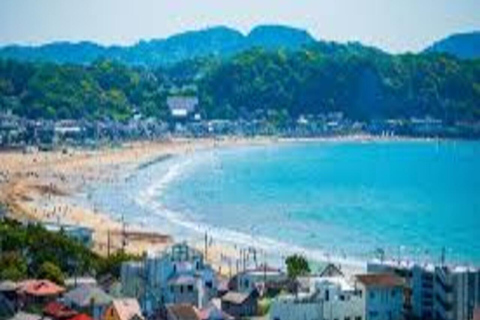 Tokyo: 2-Day Guided Tour with Kamakura & Hotel Pickup