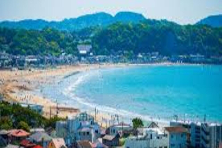 Tokyo: 2-Day Guided Tour with Kamakura & Hotel Pickup