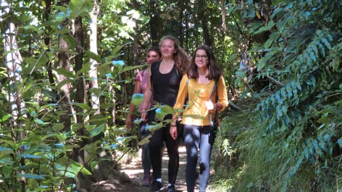from wellington kapiti island nature reserve day trip