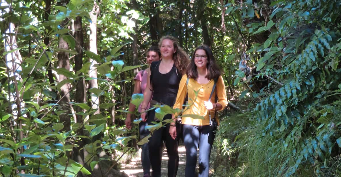 From Wellington: Kapiti Island Nature Reserve Day Trip