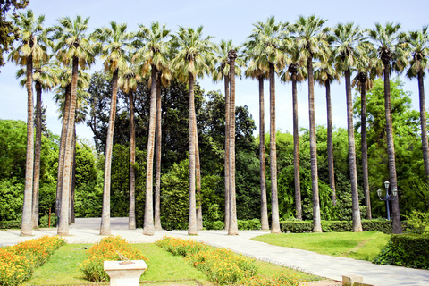 Athens Instagram Tour: The Most Scenic Spots