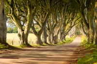 Dublin, Giants Causeway, Dark Hedges, Dunluce & Belfast Tour - Housity