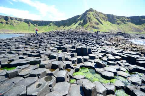 Vanuit Dublin: Giants Causeway & touwbrug Carrick-a-Rede