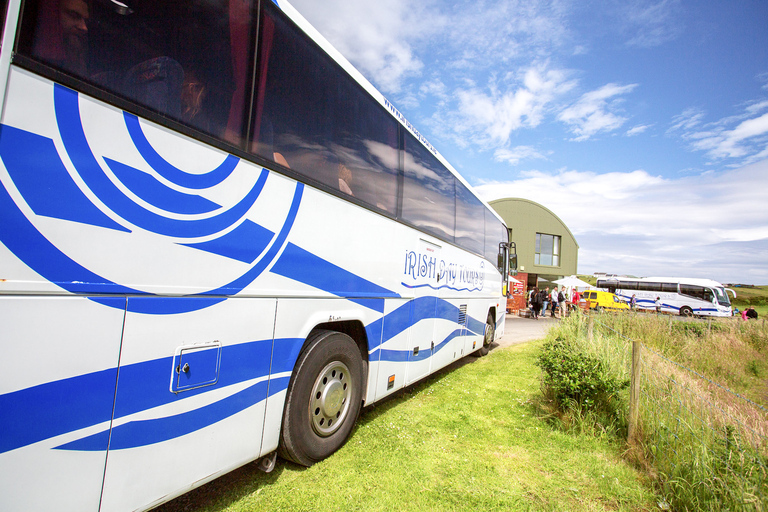 Ab Dublin: Tour zum Giant's Causeway und nach Belfast