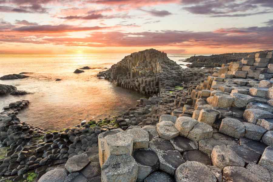 Ab Dublin: Giant's Causeway Tagestour & Fast-Track-Eintritt
