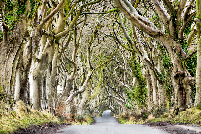 Dublin: Panoramische dagtour van de Giant's CausewayVertrek vanaf het toeristenbureau aan Suffolk Street