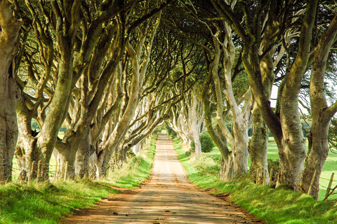 Juego de Tronos y Calzada del Gigante: tour guiado, Belfast