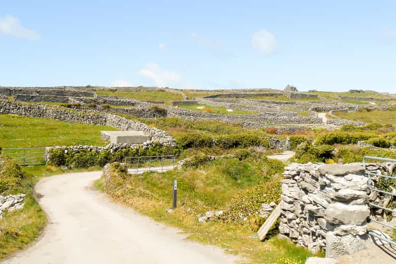 From Galway Aran Islands Cliffs Of Moher Tour With Cruise GetYourGuide