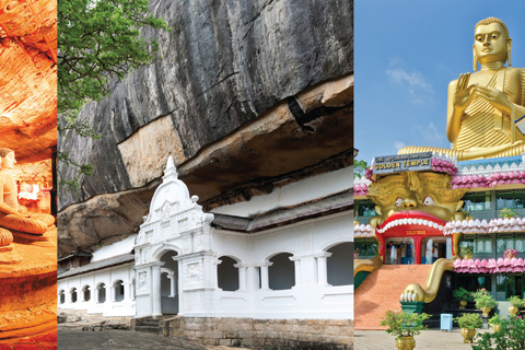 Safari Sigiriya, Dambulla i Minneriya z odbiorem/dowozem