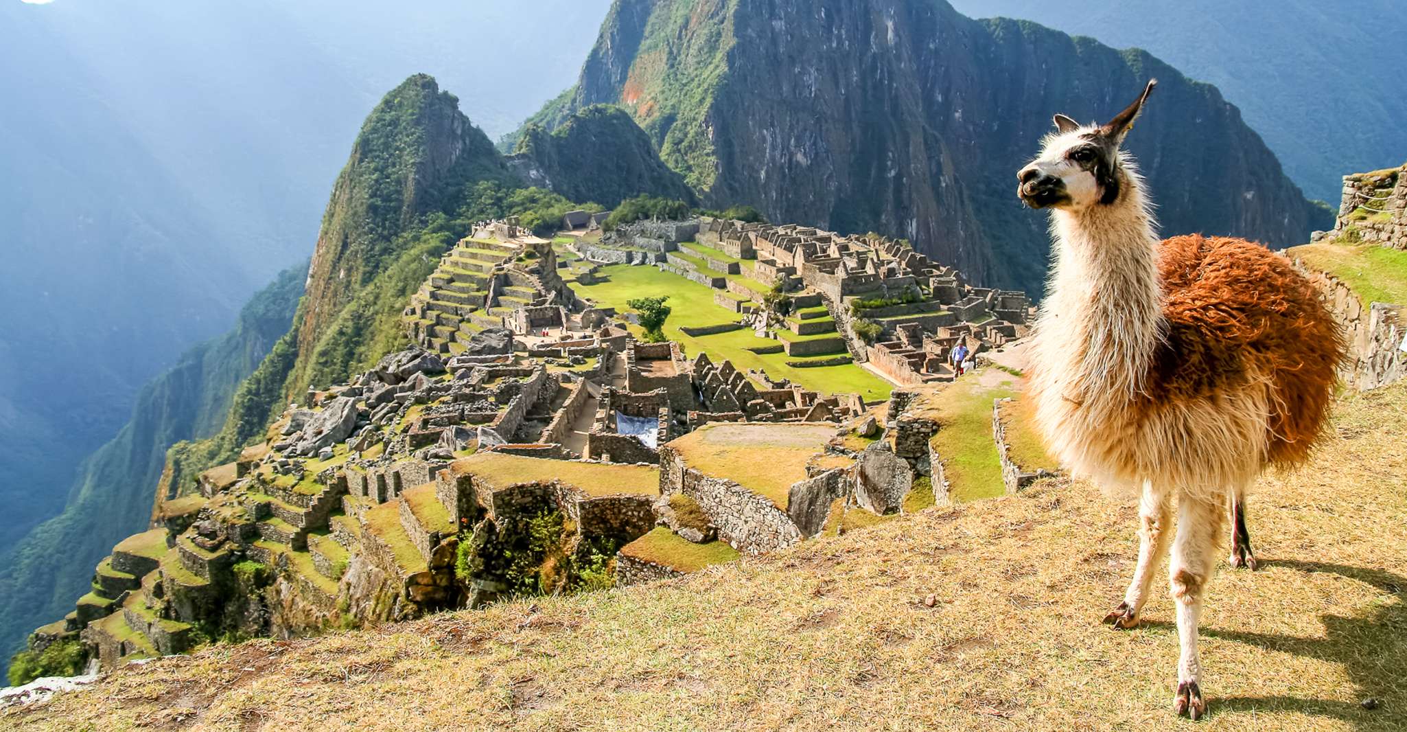 Biglietti ufficiali di Machu Picchu, Rovine e Machu Picchu Mountain - Hizvo