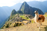Machu Picchu, Ruinen & Machu Picchu Mountain Offizielle Tickets - Hizvo
