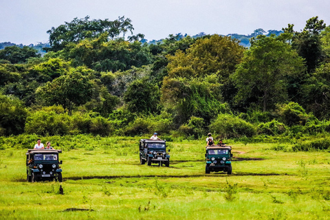 Sigiriya Dambulla & Minneriya Safari with Pickup/Drop