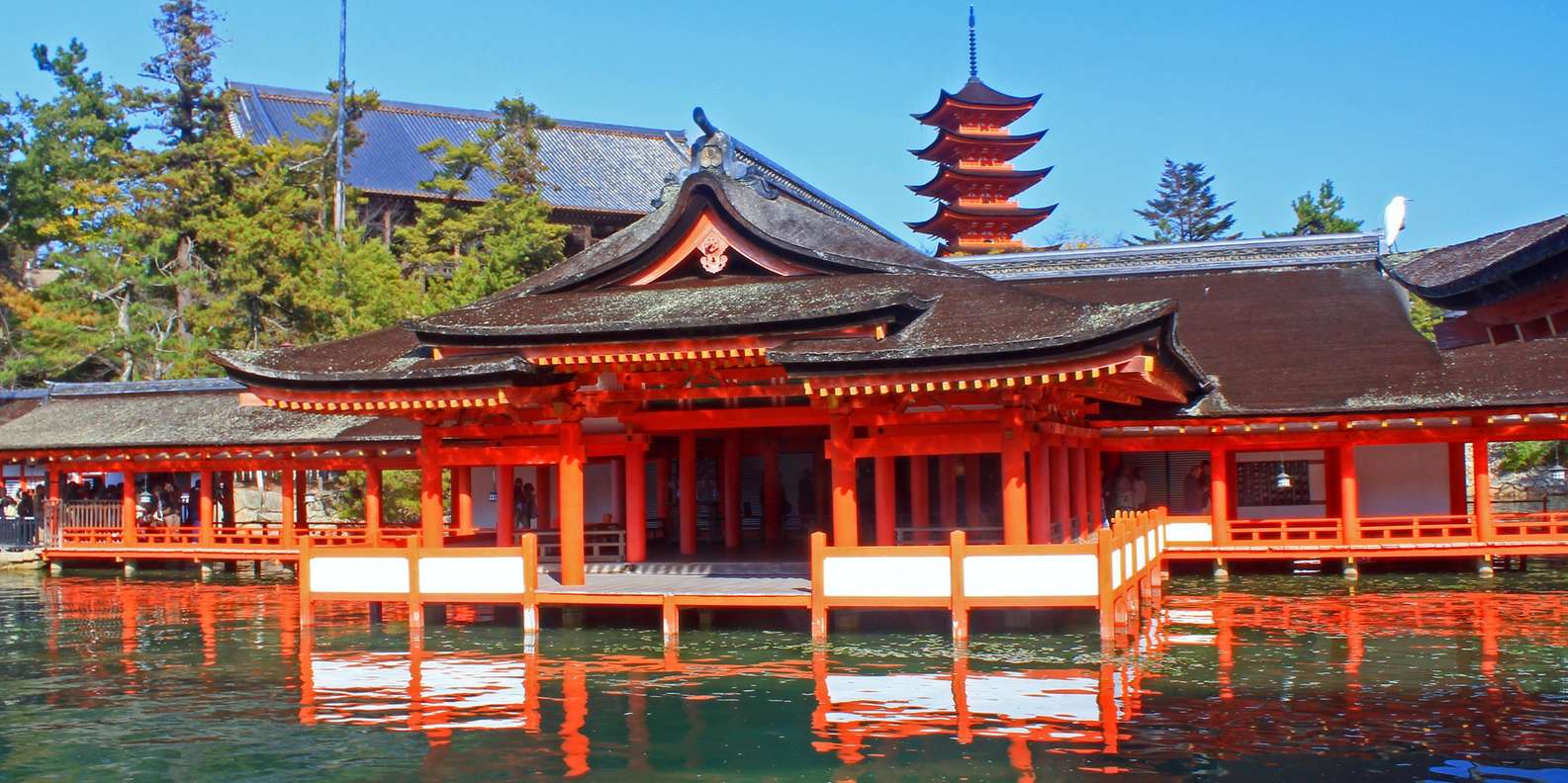 Hiroshima Miyajima tour — Peace Memorial and Miyajima Island — image 21