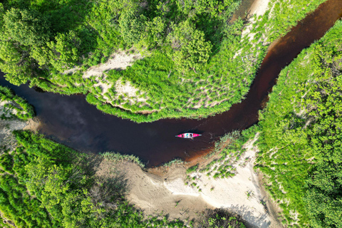 Canoe Adventure in Lapland (Rovaniemi)
