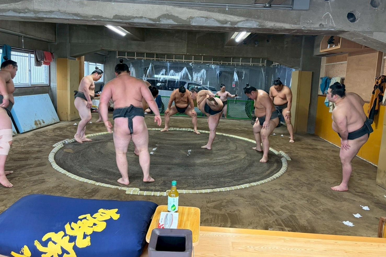 Osaka: Authentic Sumo Morning Practice & Chanko Lunch Authentic Sumo Morning Practice Viewing 【Only viewing】