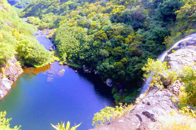 Wycieczka z przewodnikiem po wodospadach Tamarind (7 kaskad) z transferami hotelowymiPółdniowa wycieczka piesza z przewodnikiem: Tamarind Falls (7 kaskad)