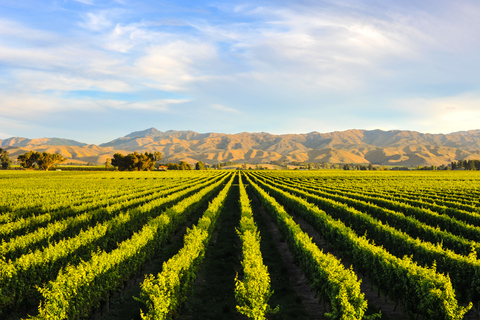 Tour Clásico Exclusivo del Vino